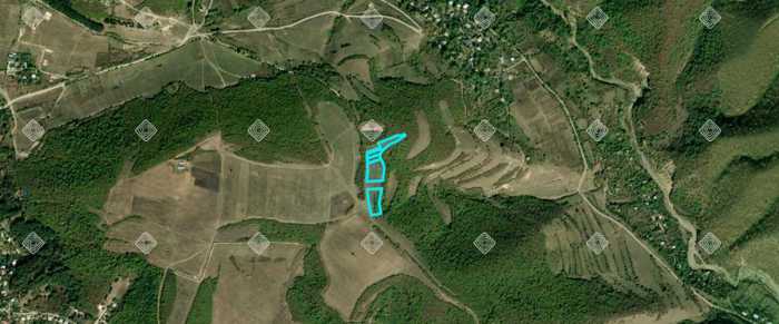 https://static.ss.ge/20260226/16_8e0414c7-f875-4333-962b-94f6c5b2b2eb_Thumb.jpg