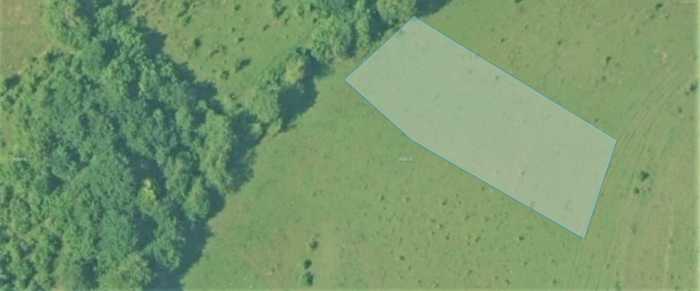 Land For Sale. Nikortsminda