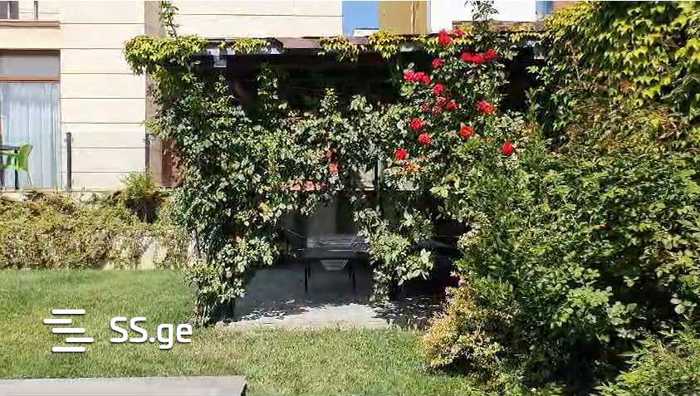 https://static.ss.ge/20260226/4_c5dd26c0-0c7a-4bd5-ab27-559813871767_Thumb.jpg