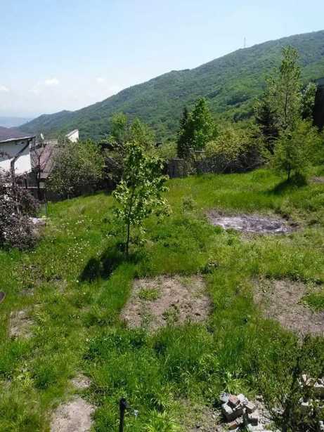 Land For Sale. Tskneti