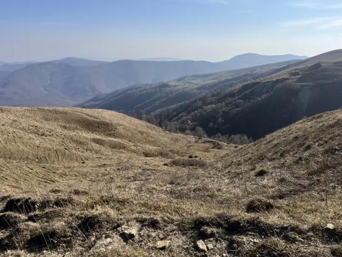 Land For Sale. Shalauri