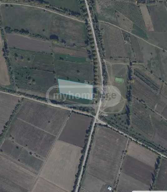 Land For Sale. Okami