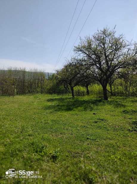 Land For Sale. magraneti