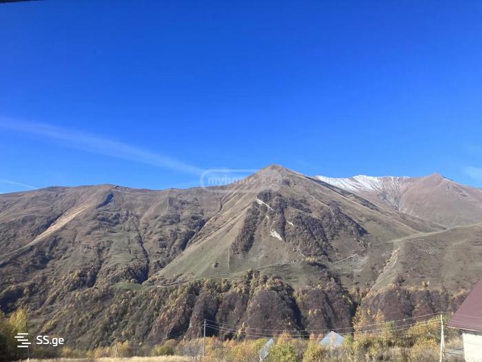 https://static.ss.ge/20260226/7_9539ba66-7baa-4365-a82e-a20c849f1f56_Thumb.jpg