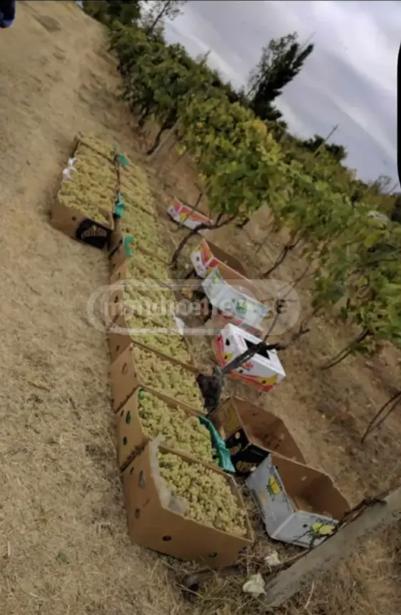 Land For Sale. Kaspi