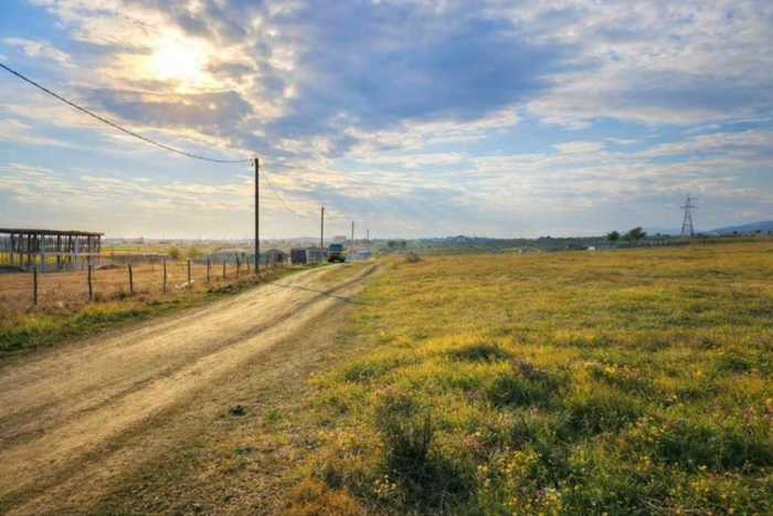 Land For Sale. Kvemo Teleti
