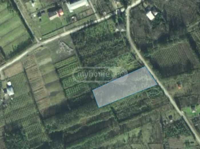 Land For Sale. Zugdidi