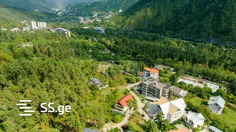 Hotel For Sale. Borjomi view 10