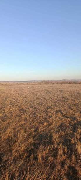 Land For Sale. Marneuli