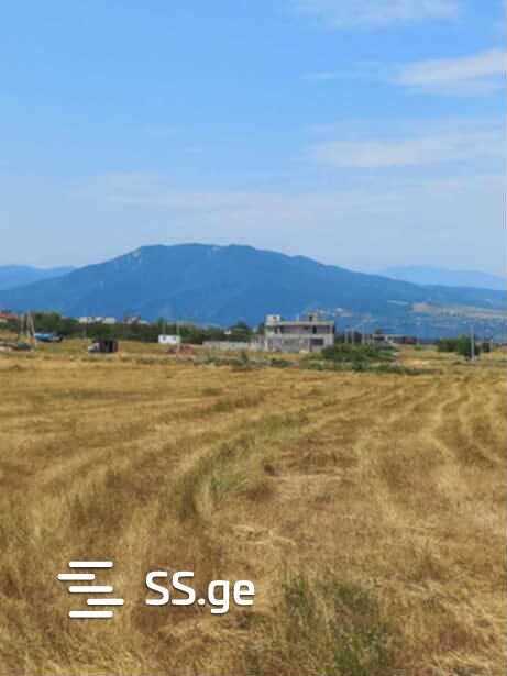 https://static.ss.ge/20260227/11_b22b8239-819f-4bda-9ce2-ea246e811ddb_Thumb.jpg