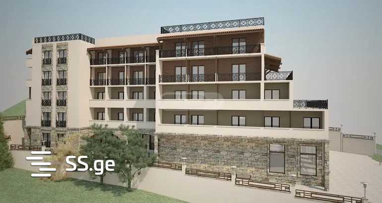 Hotel For Sale. Borjomi view 11