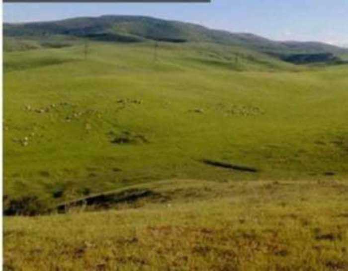 Land For Sale. Marneuli