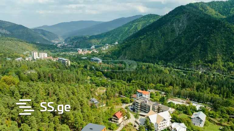 Hotel For Sale. Borjomi view 8