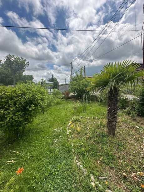 Land For Sale. Shalauri