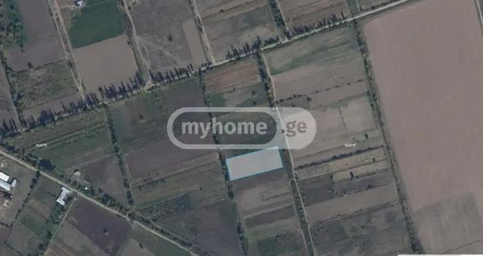 Land For Sale. Okami