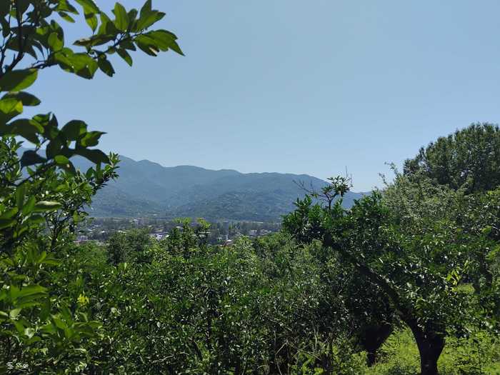 Land For Sale. Khelvachauri