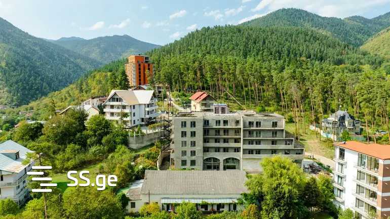 Hotel For Sale. Borjomi view 9