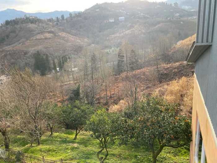 Land For Sale. Tsinsvla, Chelta