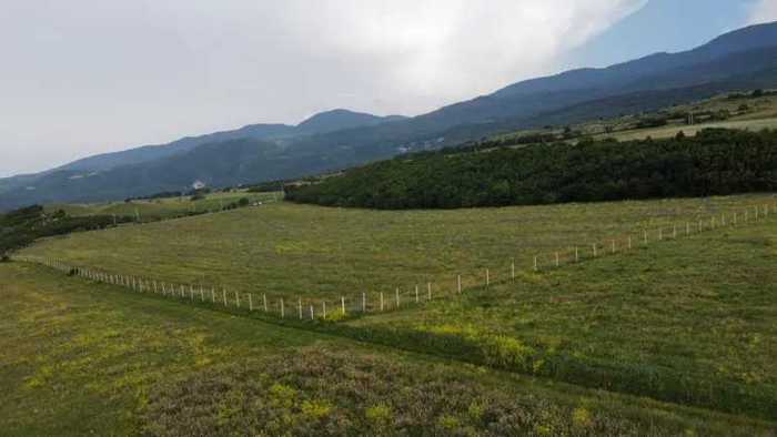 Land For Sale. Ertatsminda