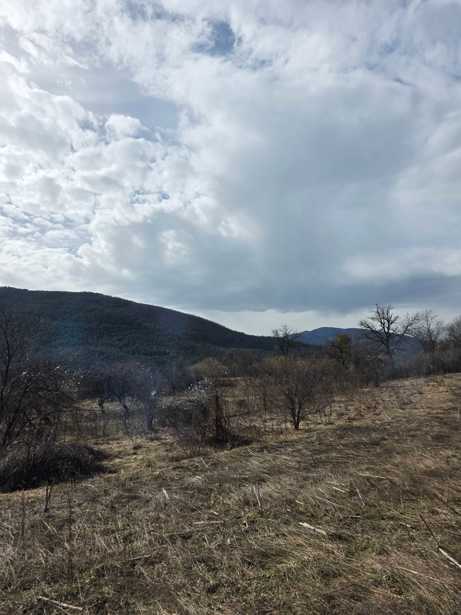 Land For Sale. Ambrolauri 