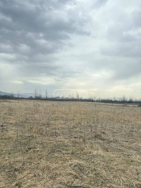 Land For Sale. Okami