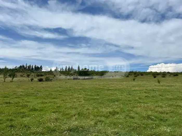 Land For Sale. Nasaguri