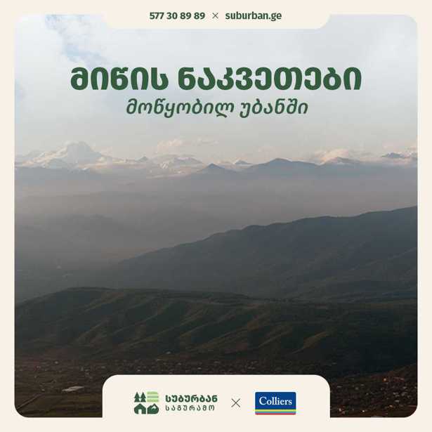 https://static.ss.ge/20260227/7_5315b45a-be70-4c27-80fc-487fa7a5fd95_Thumb.jpg