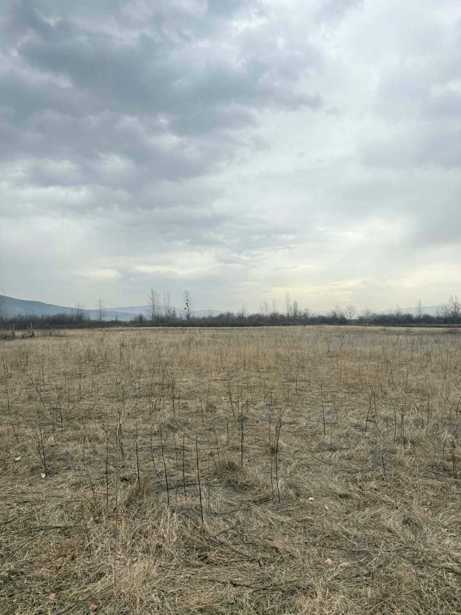 Land For Sale. Okami