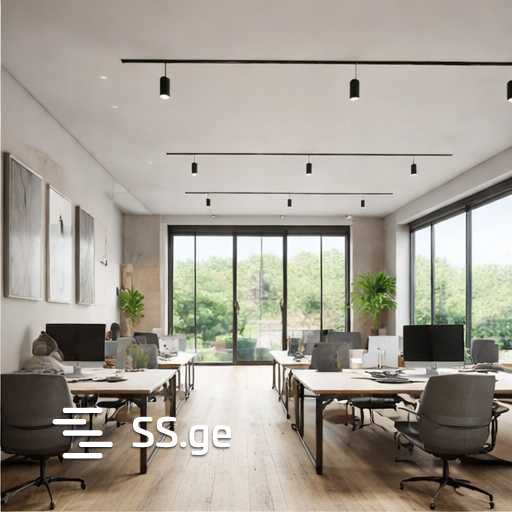 Commercial Real Estate For Rent. Kutaisi view 9