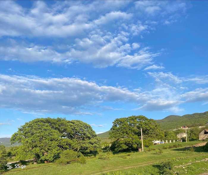 Land For Sale. Shankevani