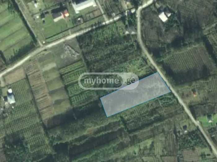 Land For Sale. Zugdidi