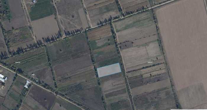 Land For Sale. Okami