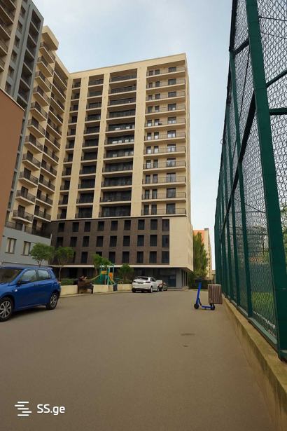 https://static.ss.ge/20260228/11_98854e56-9e07-4804-b5b5-f1c84c752ba2_Thumb.jpg