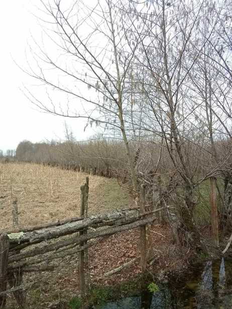 Land For Sale. Zugdidi