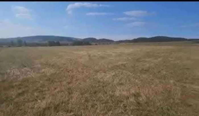 Land For Sale. Khevsurtsopeli