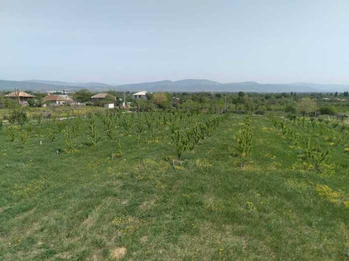 Land For Sale. Aghaiani