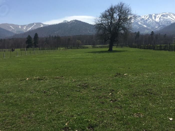 Land For Sale. Tsikhisjvari