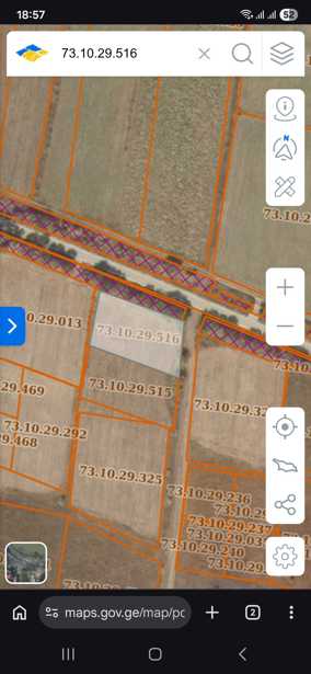 Land For Sale. Trani