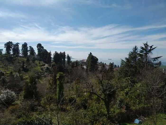 Land For Sale. Makhindjauri