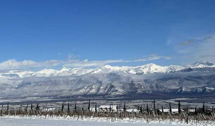 Land For Sale. Shalauri