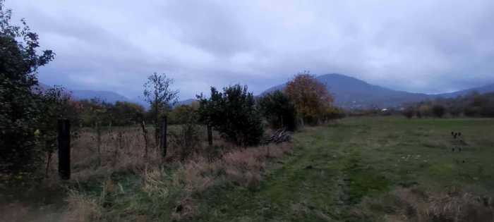 Land For Sale. Kvishxeti