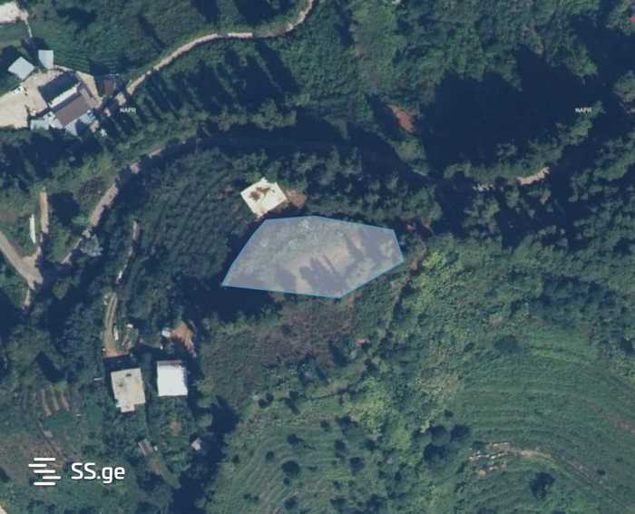 Land For Sale. Gonio