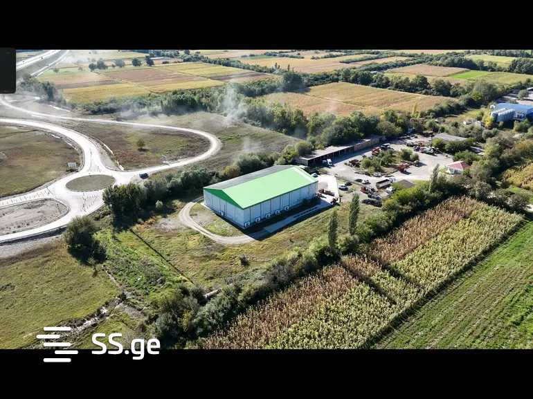 Store-Industrial Property For Rent. Gardabani view 10