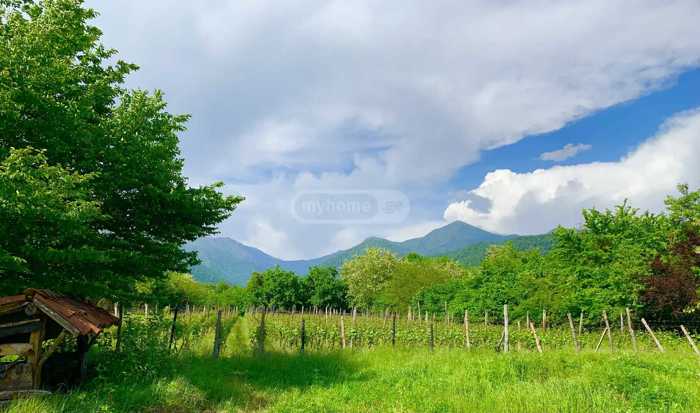 Land For Sale. Kvareli