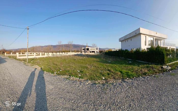 https://static.ss.ge/20260302/12_be0d79c5-27b1-4403-b60b-9ffd653fe86d_Thumb.jpg