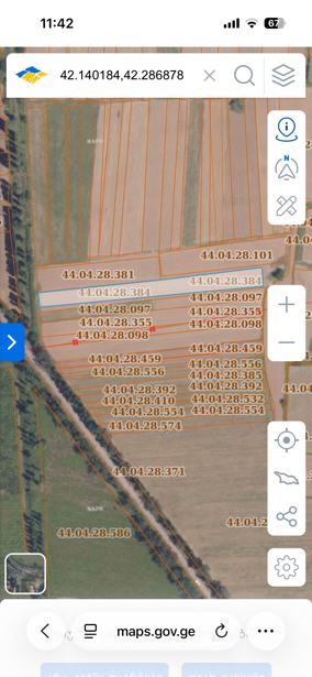 Land For Sale. Dzveli Senaki