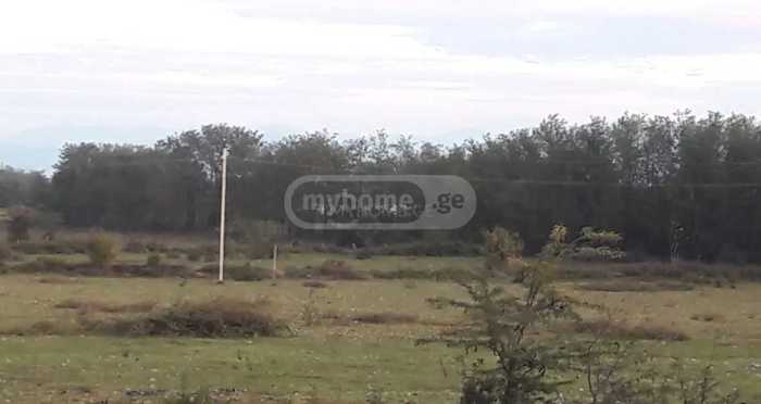 Land For Sale. Tskaltubo