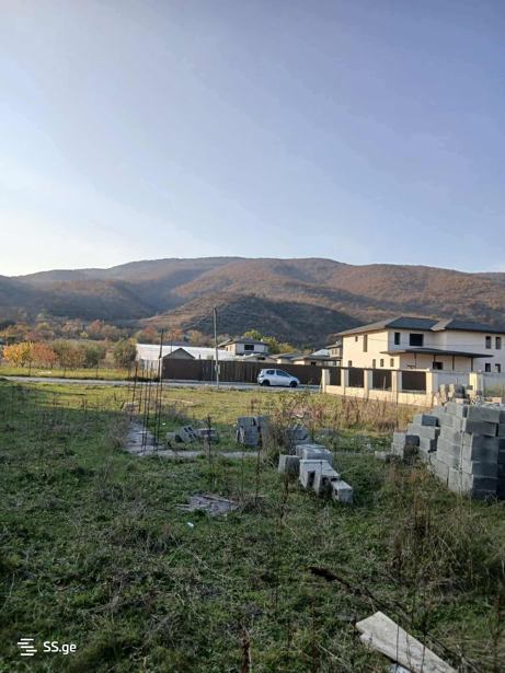 https://static.ss.ge/20260302/13_76ca05db-a404-4ed4-9c8d-08f07a49c0f6_Thumb.jpg