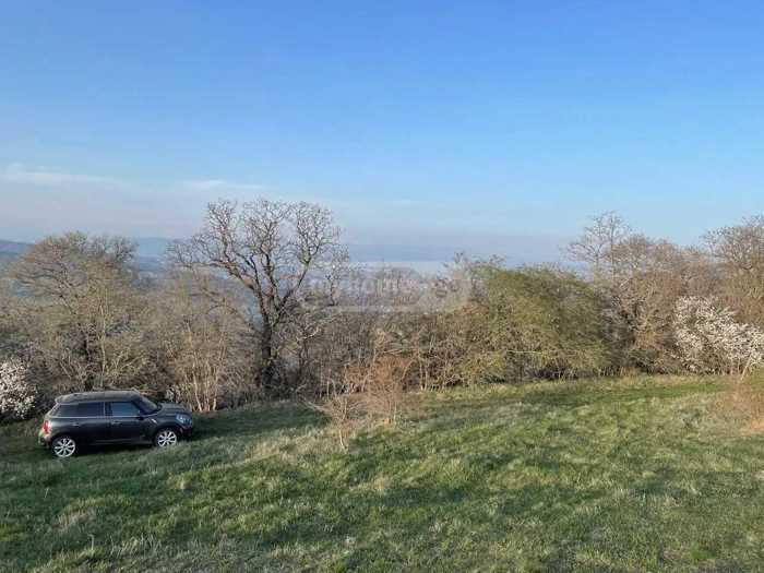 Land For Sale. Kveseti