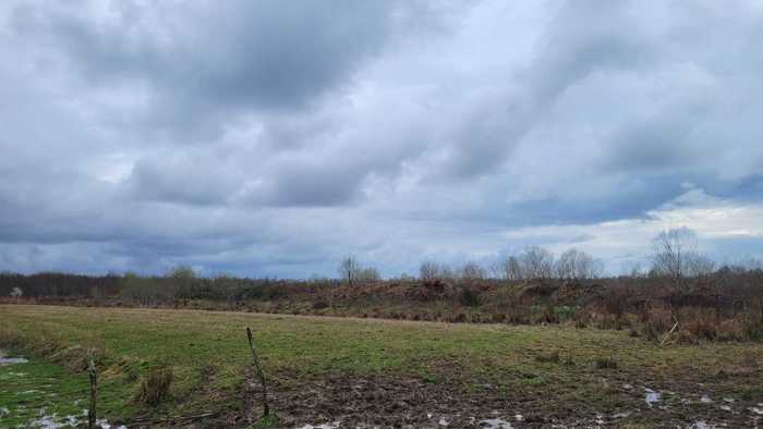 Land For Sale. Ozurgeti